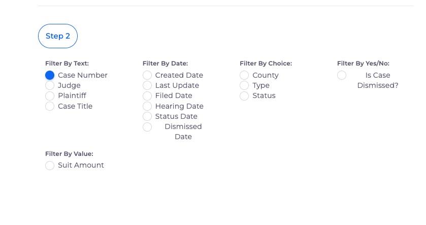 A screenshot of the Case filter options in Public Digital's case search.