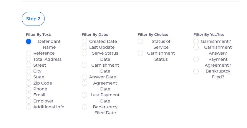 A screenshot of the Defendant filter options in Public Digital's case search.
