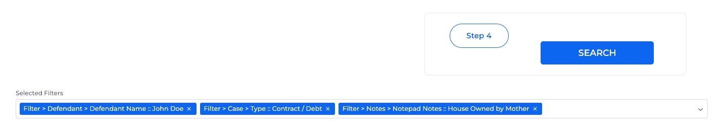 A screenshot of the fourth step in the search feature using showing the search queries and search button.